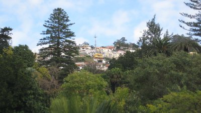 IMG_1795.jpg