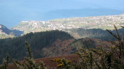 IMG_1804.jpg