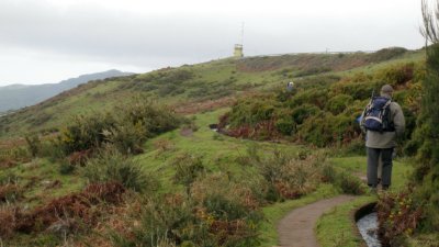 IMG_1805.jpg