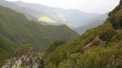 IMG_1808.jpg