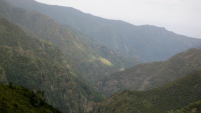 IMG_1810.jpg