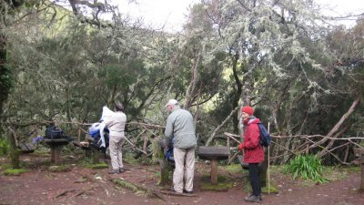 IMG_1812.jpg