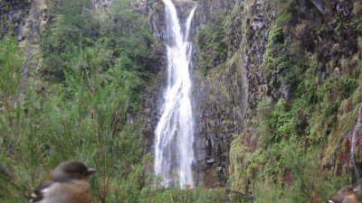 IMG_1816.jpg