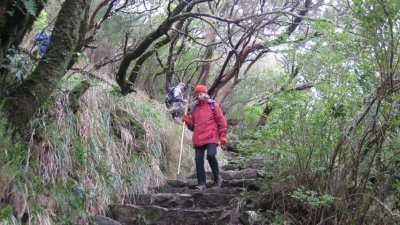 IMG_1819.jpg