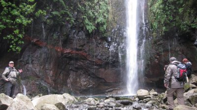 IMG_1826.jpg
