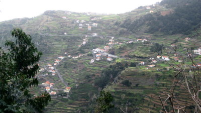 IMG_1853.jpg
