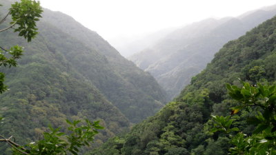 IMG_1862.jpg