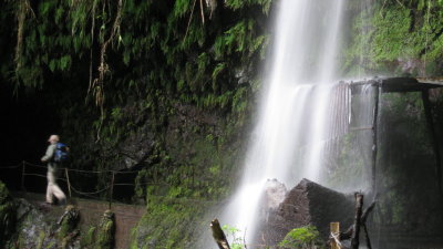 IMG_1868.jpg