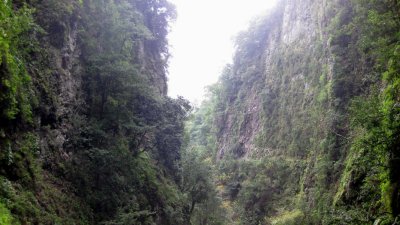 IMG_1869.jpg