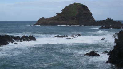 IMG_1877.jpg