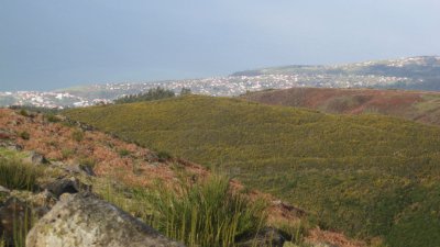 IMG_1893.jpg