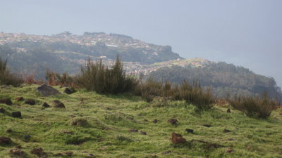 IMG_1895.jpg