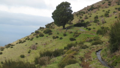 IMG_1902.jpg