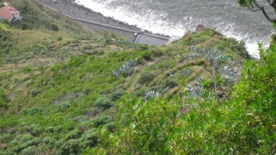 IMG_1952.jpg