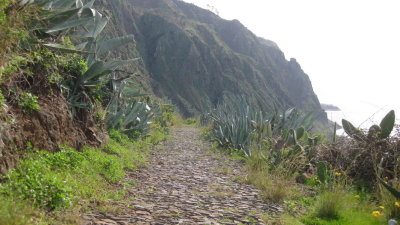 IMG_1953.jpg