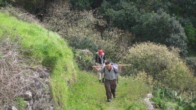 IMG_1957.jpg
