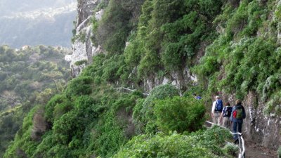 IMG_1981.jpg