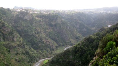 IMG_1988.jpg