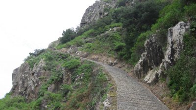 IMG_1994.jpg