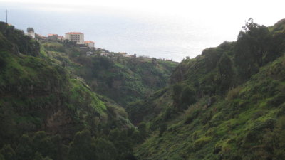 IMG_2003.jpg