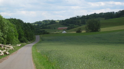IMG_2172.jpg