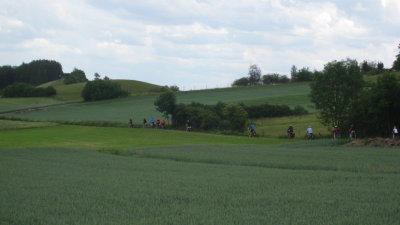 IMG_2174.jpg