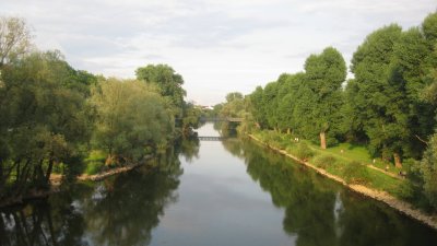 IMG_2204.jpg
