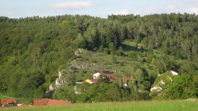 IMG_2362.jpg