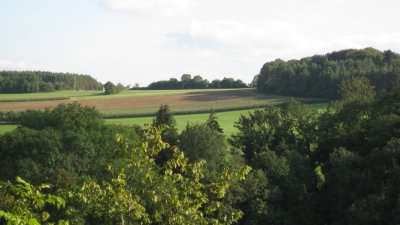 IMG_2360.jpg