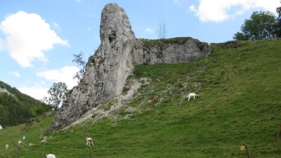 IMG_2358.jpg