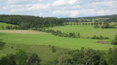 IMG_2351.jpg