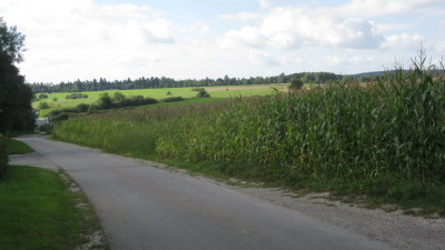 IMG_2348.jpg