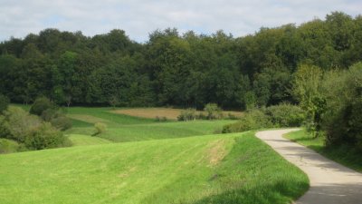 IMG_2346.jpg