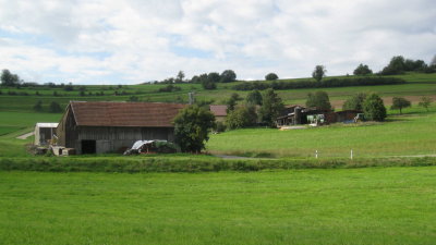 IMG_2345.jpg