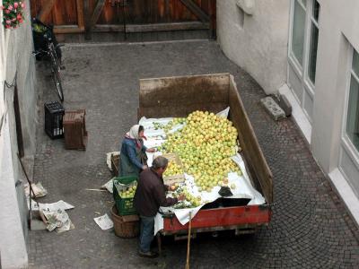 PA210094.jpg
