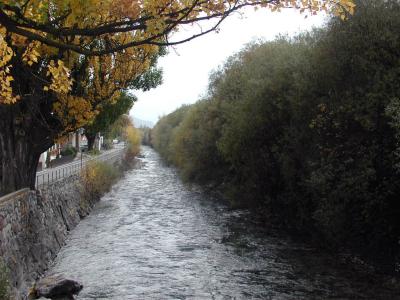 PA210102.jpg