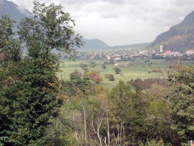 PA210105.jpg