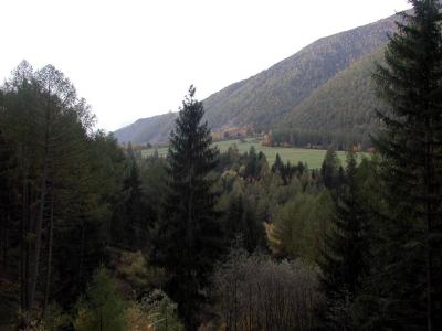 PA210109.jpg