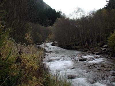 PA210111.jpg
