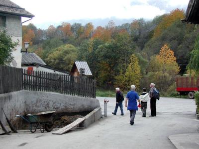 PA210113.jpg