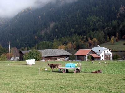 PA210122.jpg