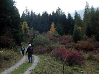 PA210116.jpg