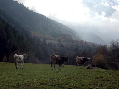PA210119.jpg