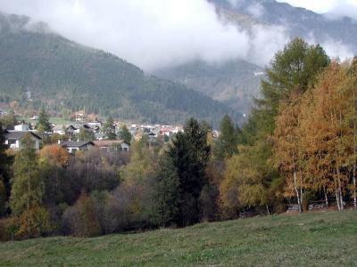PA210121.jpg