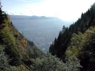 PA240031.jpg