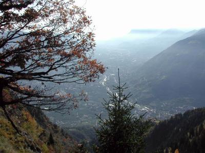 PA240032.jpg