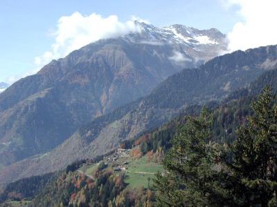 PA240039.jpg