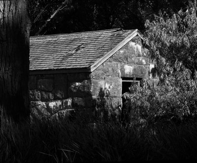 black_and_white