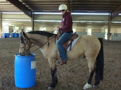 xhorses 010.JPG