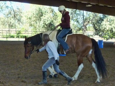 xhorses 027.JPG